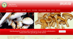 Desktop Screenshot of mushroomsforest.com